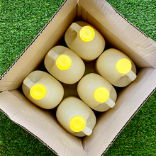 Load image into Gallery viewer, Farm Fresh Chilled Grapefruit Juice