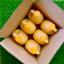 Load image into Gallery viewer, Farm Fresh Chilled Orange Juice