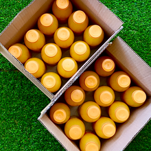 Load image into Gallery viewer, Farm Fresh Chilled Orange Juice